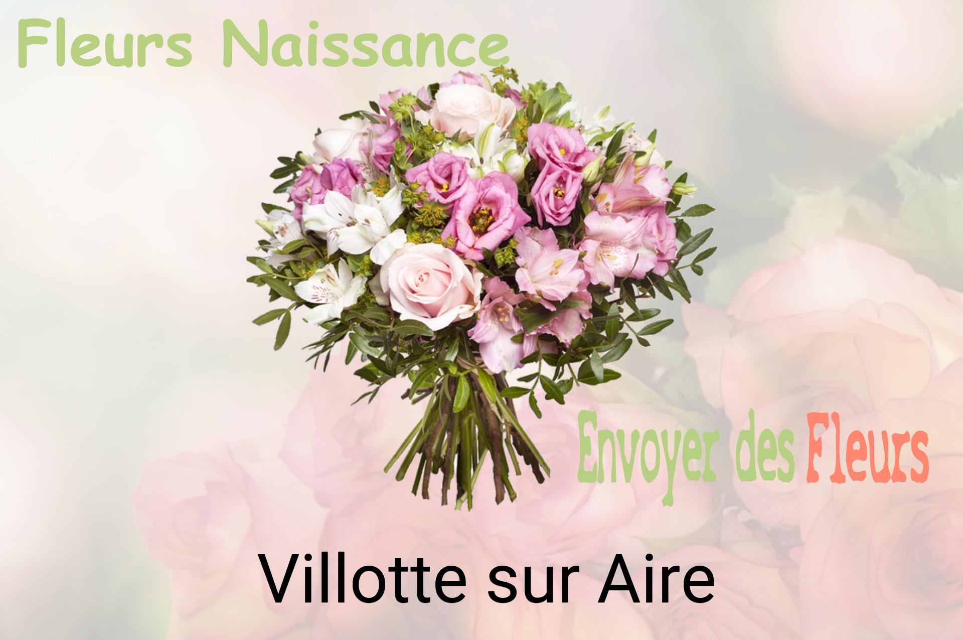 Bouquet de fleurs de naissance livré à Villotte-sur-Aire