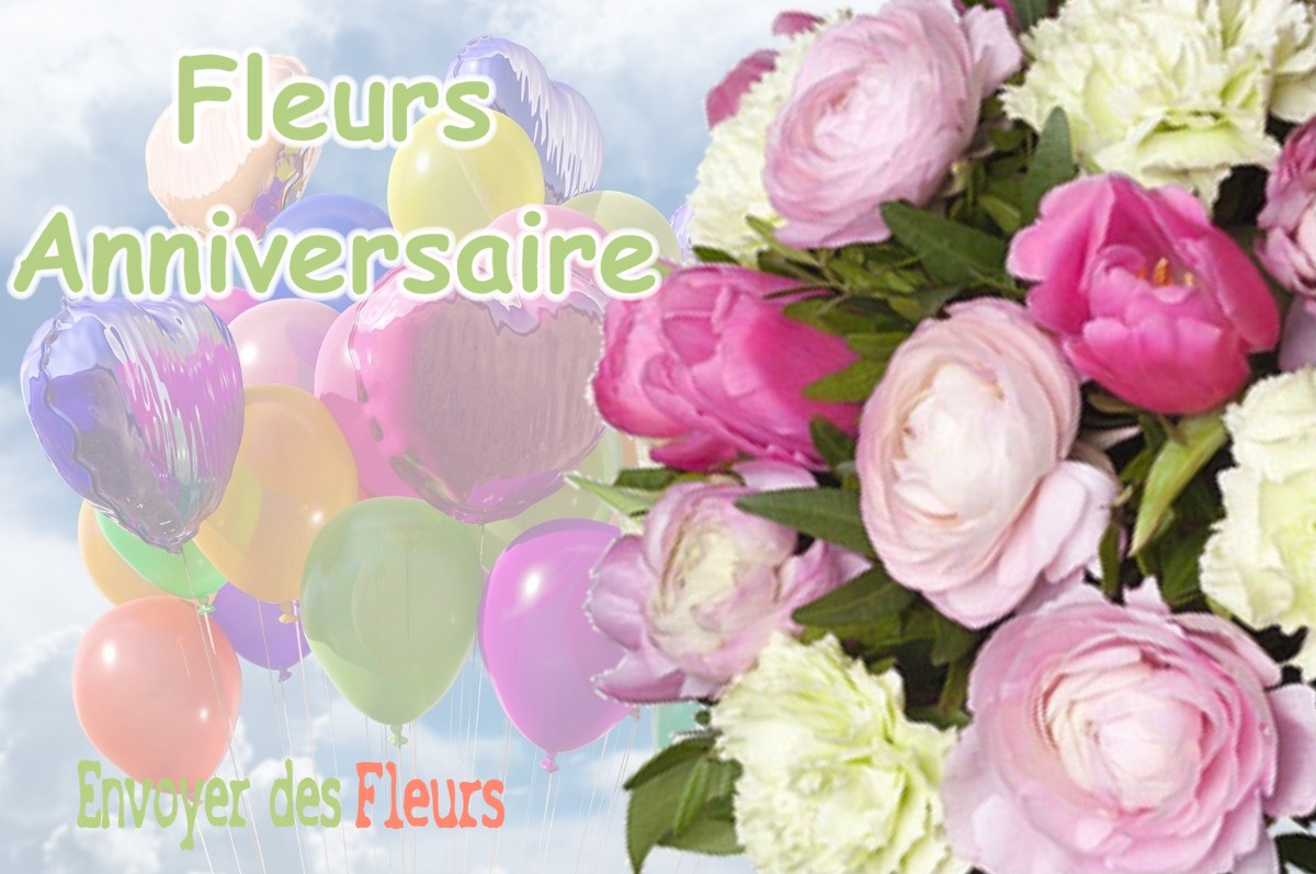 lIVRAISON FLEURS ANNIVERSAIRE à VILLOTTE-SUR-AIRE