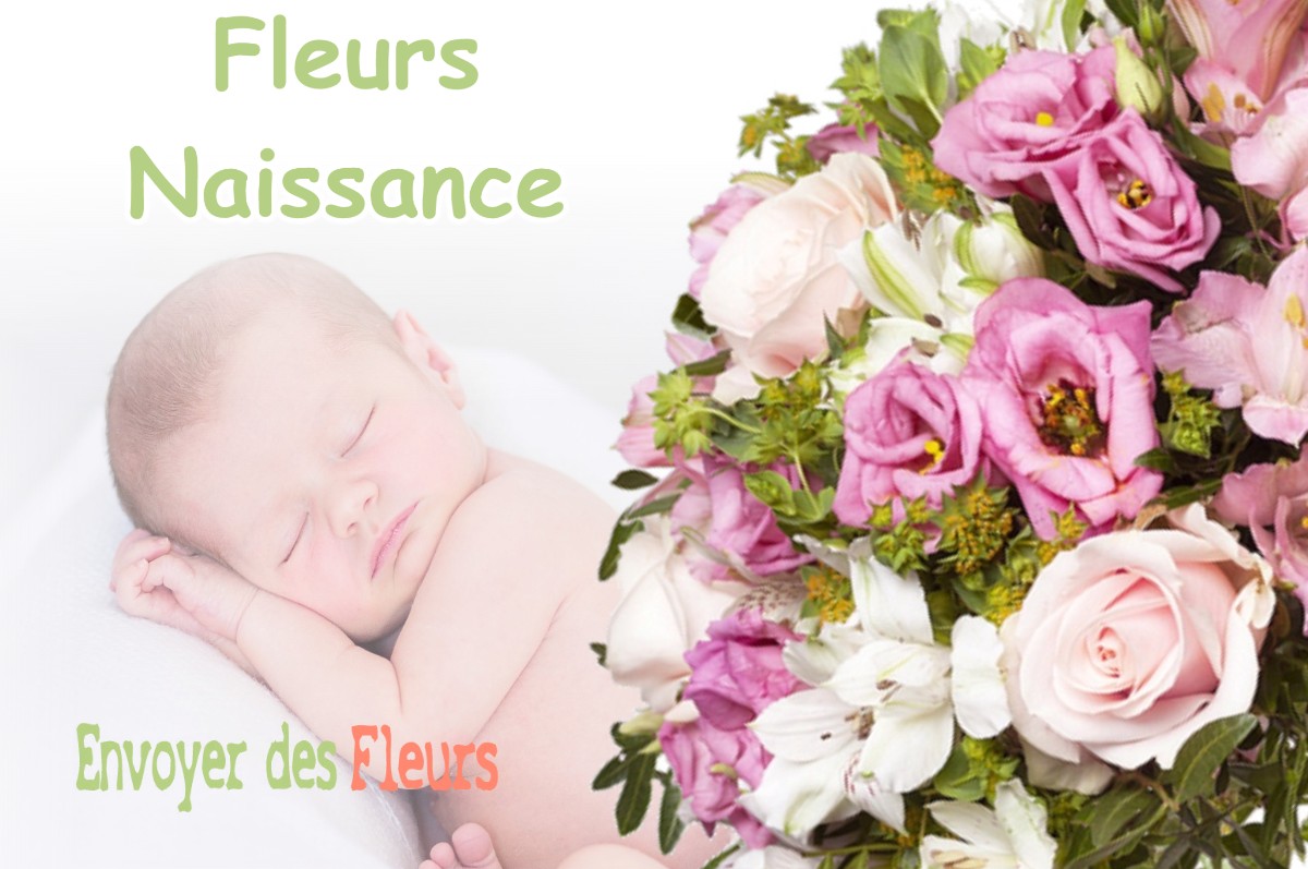 lIVRAISON FLEURS NAISSANCE à VILLOTTE-SUR-AIRE