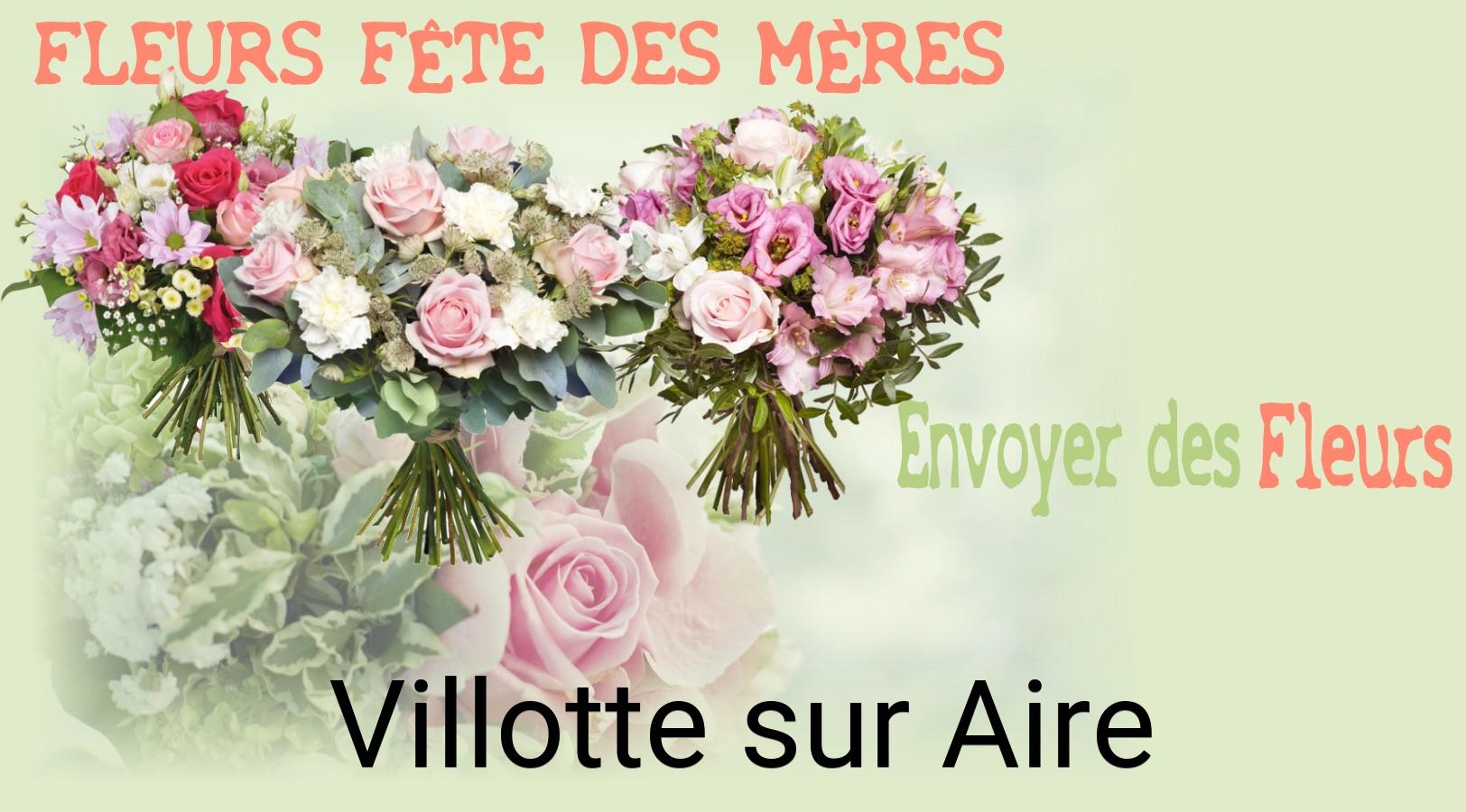 Bouquet de Fête des Mères livré à Villotte-sur-Aire